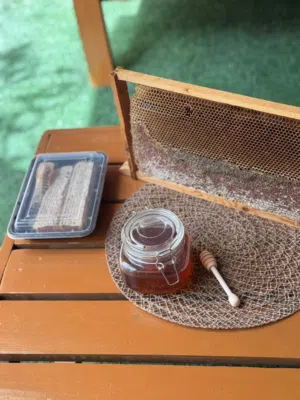 عسل طبيعي من المزرعة مع الشمع (Raw Honeycomb Saudi Honey)