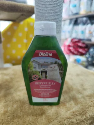 كيب اوف قطط