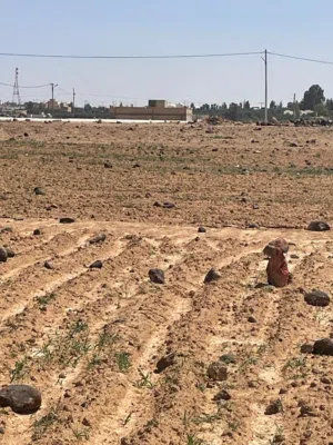 Residential Land for Sale in Mafraq Al-Salhiya