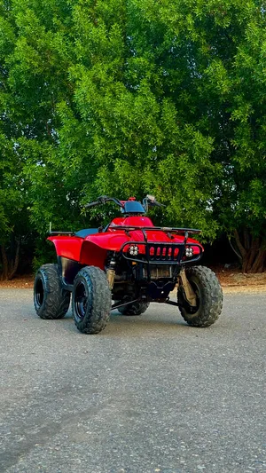 Used Polaris Other in Al Dakhiliya