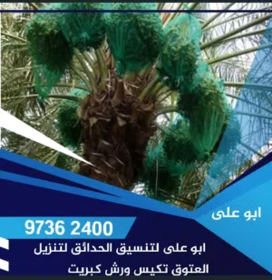 تكييس وتنظيف وتكريب نخيل
