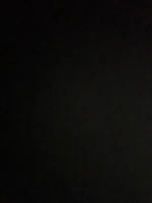 للبيع فرس عربيه