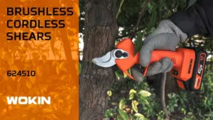 مقص تنقيب الأشجار