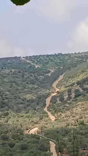 Mixed Use Land for Sale in Nablus Yasid