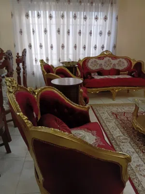 طقم مصري 10 مقاعد