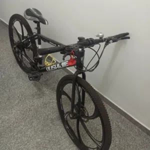 Adult bicycle