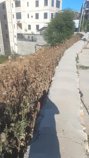 ارض في بيت لحم الولجة للبيع