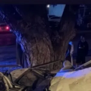 المزيني 