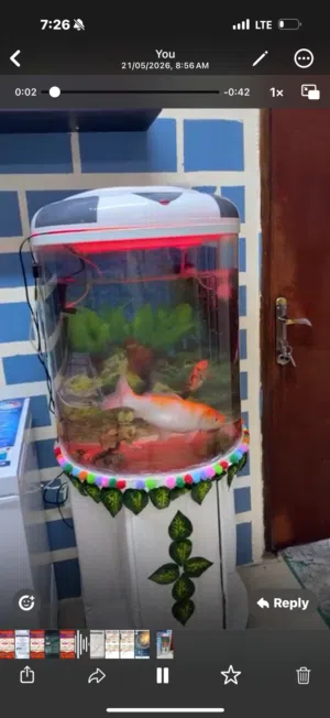Fish with tank for sale very good condition with all equipment price only 30 kd