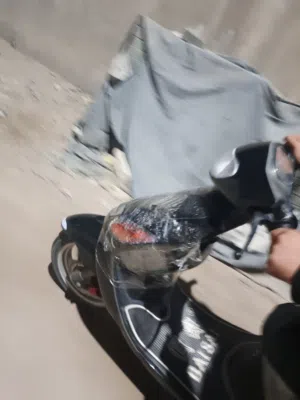 داجه حلوه بلجيس اكزز  جديده  سعره خاص