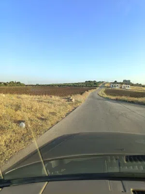 Farm Land for Sale in Amman Naour