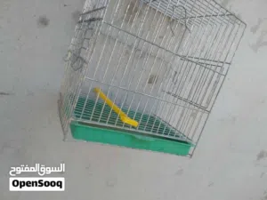 السلام عليكم . اقفاص للبيع او تبديل
