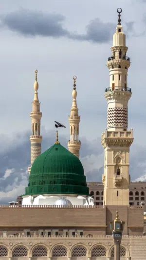 علي 