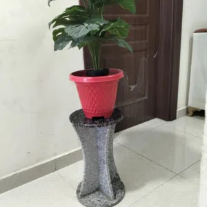 stand with plant