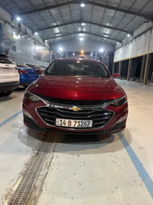 ماليبو LT 2023