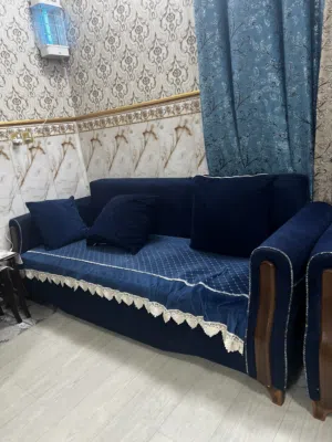 تخم قنفات ممتاز
