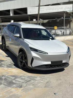 صيانه مجانيهMAGE SKY EV01 كفالة الوكيل 10سنوات على البطاريه و7سنوات او 300 على باقي اجزاء السيارة