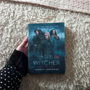 THE WITCHER " the last wish " book