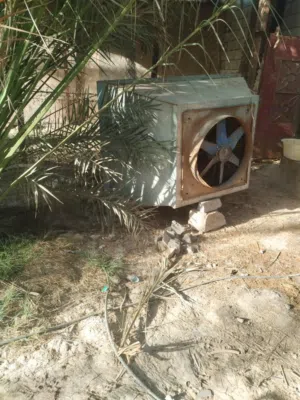 فان مبرده مال حيوانات