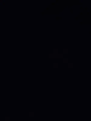 ناقه حايل واموره طيبه الحمدلله