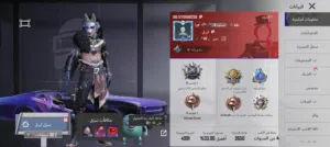 Pubg Accounts and Characters for Sale in Mafraq