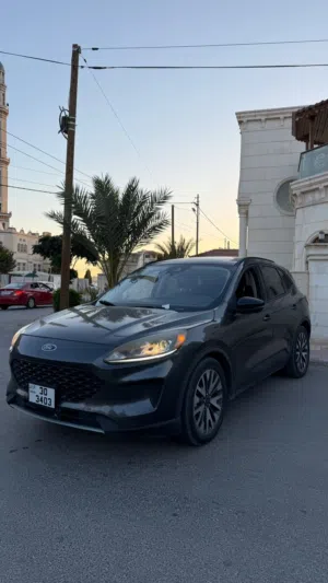 فورد اسكايب 2020 فل الفل بانوراما لمتيد فحص 3 جيد قابل للبدل