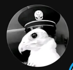 ياسين زايد المياحي 