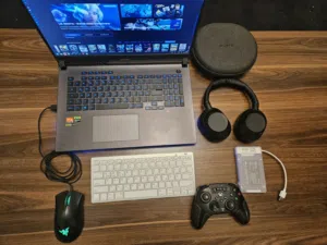 Asus ROG Strix G17 (G713PI model – Ryzen 9 7945HX, RTX 4070)