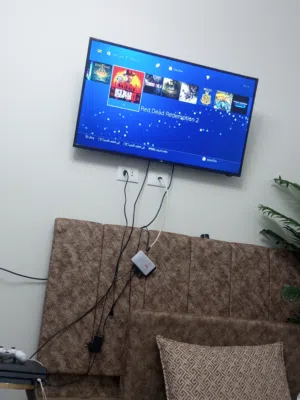 sony ps4 bro