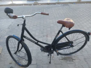 دراجة هوائية هولندية