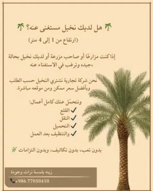 شراء النخيل والفسائل والنارجيل والواشنطونيا