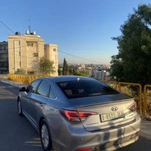 يزن يحيى 