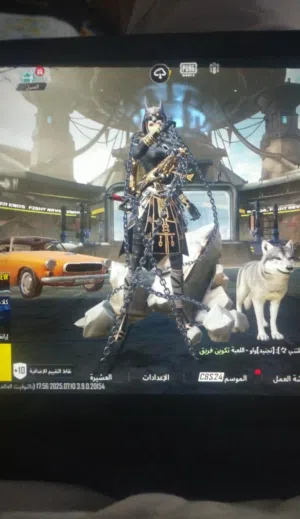 اميل ببجي خرافي بسعر مناسب 950ج
