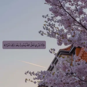 Ikhlas Ahmad Bsharat 