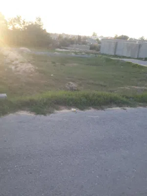 أرض للبيع في الباعيش بالقرب من جامع حمزة