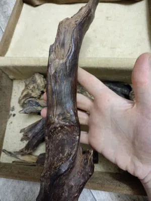 خشب عود اندونيسي جار