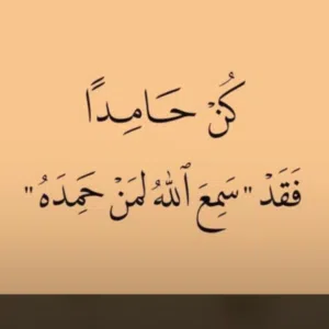 member-1704213432.3748636 