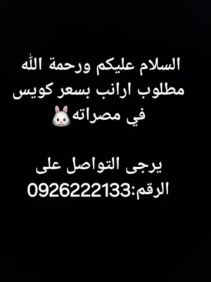 مطلوب ارانب