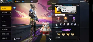 Free Fire  account & character