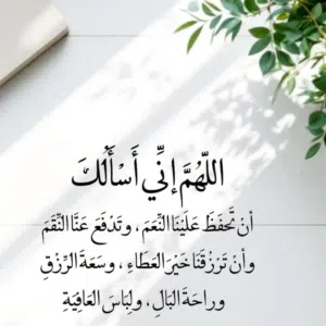 احمد محمد محمد 