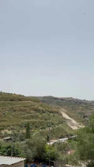 ارض طابو ( أ )