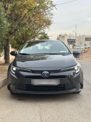 تويوتا كورولا 2025
