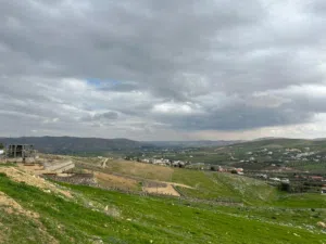 Farm Land for Sale in Zarqa Sarout
