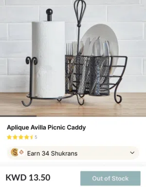 Picnic/outdoor/terrace caddy (holds paper towel, plates, cutlery)