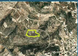 ارض في بزاريا - نابلس تصنيف أ مالك واحد مساحه 8144 متر دونم منطقه وادي المساقيع للبيع او البدل