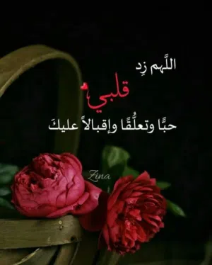 Abla taha 