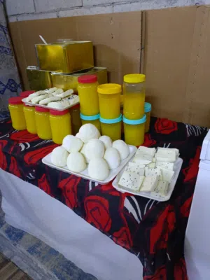 منتجات البان واجبان