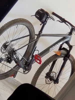 mountain bike radon jealous