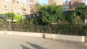 ارض فضاء للبيع