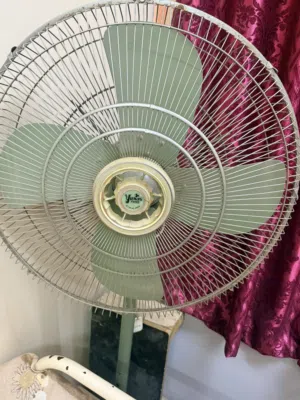 Standing Fan